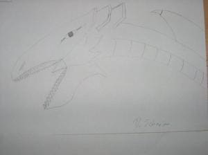 Drachenkopf von dem Blauäugigem Weißdrache