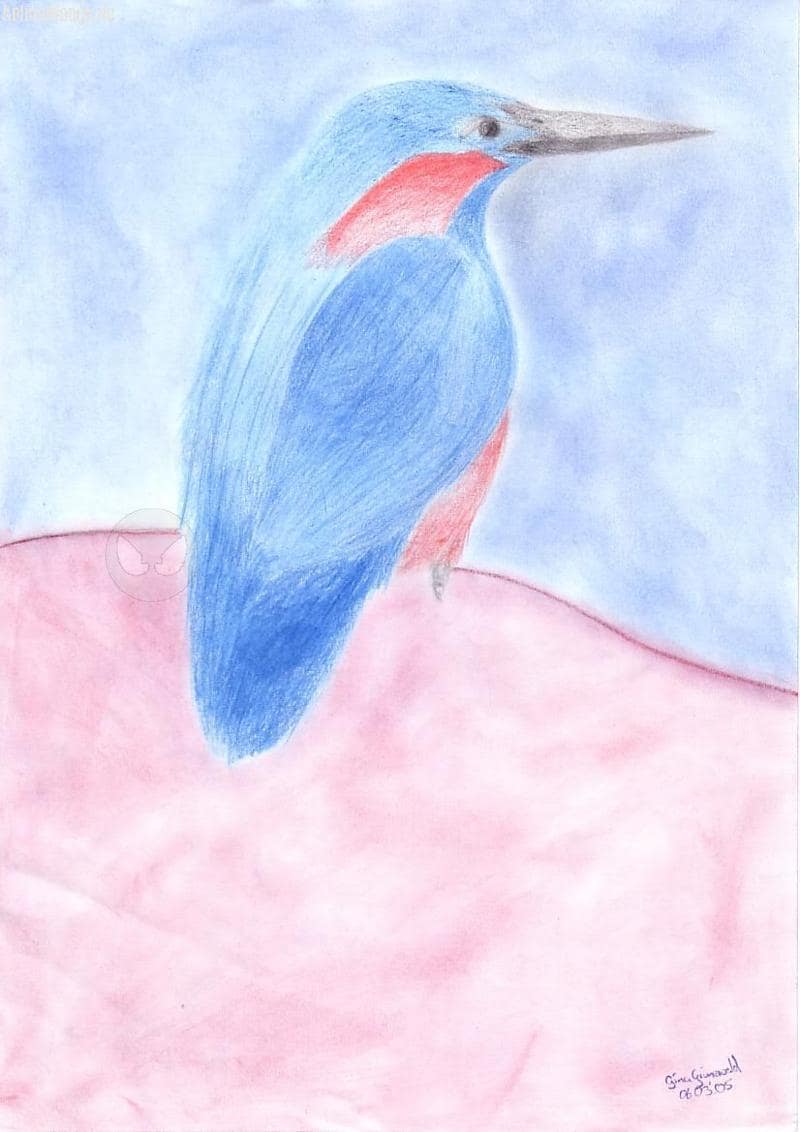 Ein Vogel *hoho* XD~