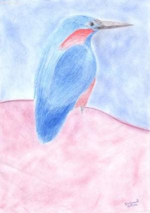 Ein Vogel *hoho* XD~