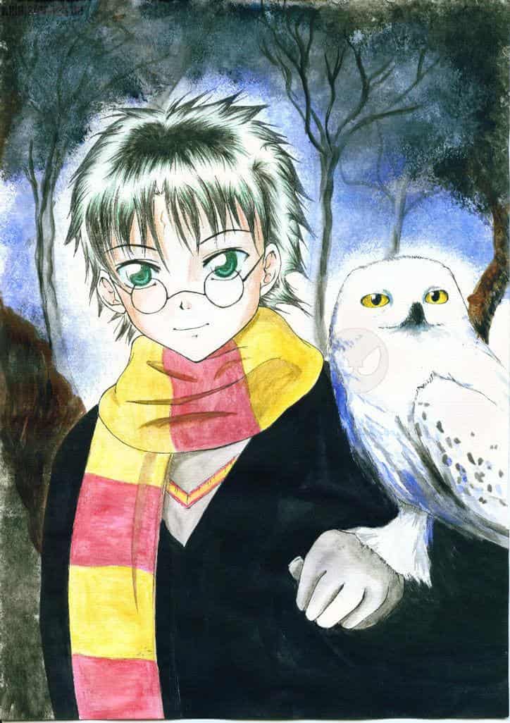harry mit hedwig