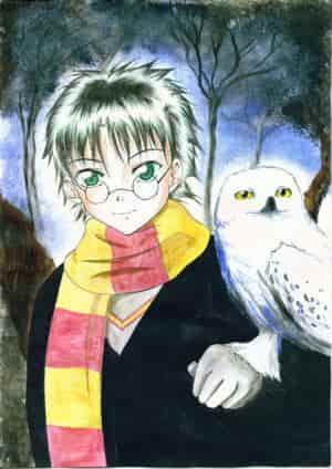 harry mit hedwig