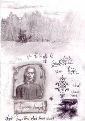 Fuchs, Snape, Muster, Schrift & Landschaft ^^´