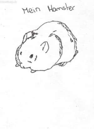 mein kleiner Hamster Bubba