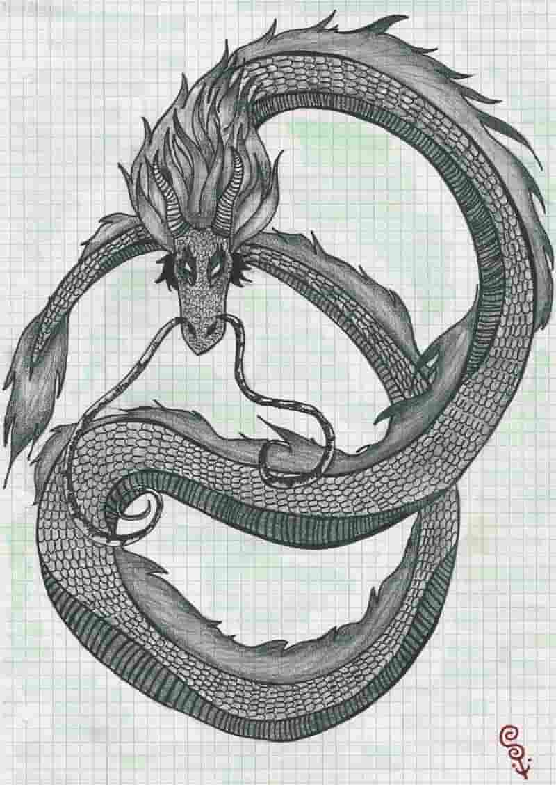 Pausen-Verschnitts-Drache ^_^