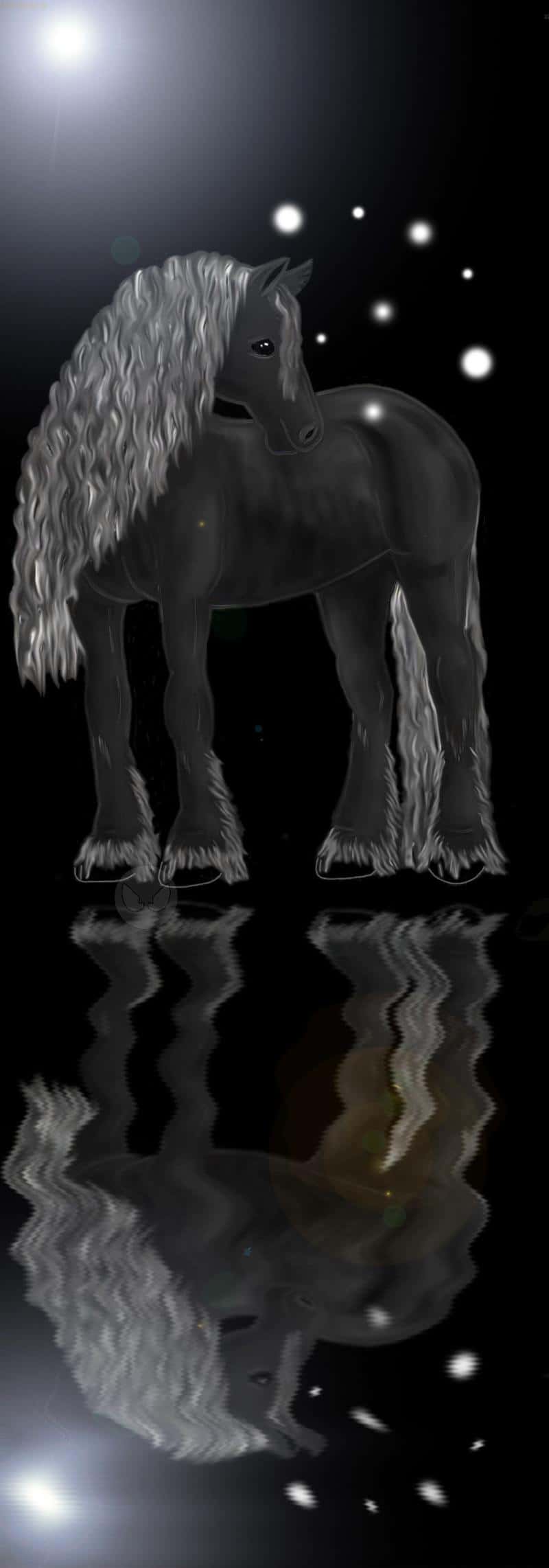 Lights in the Darkness