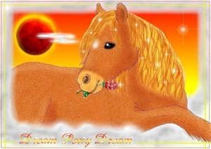 Dream Pony Dream