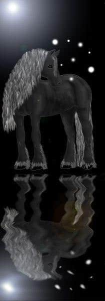 Lights in the Darkness