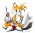 Tails The Fox