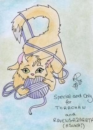 Special and Only for Torachan and Asuka - noch ne Katze