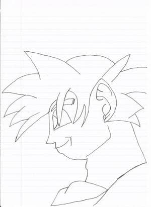 Son-Goku Profil bitte Bewerten