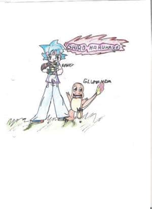 Pokemontrainer teil 2