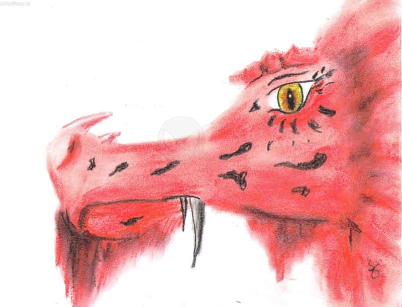 Drachenköpple-Skizze...^////^