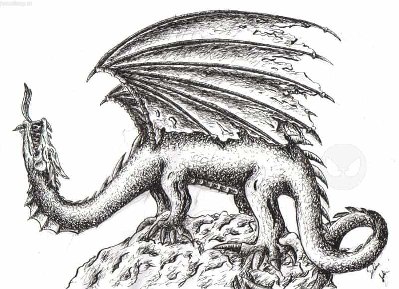 Öhm...tjoa^^ irgendwie was Drachiges ^////^ XD