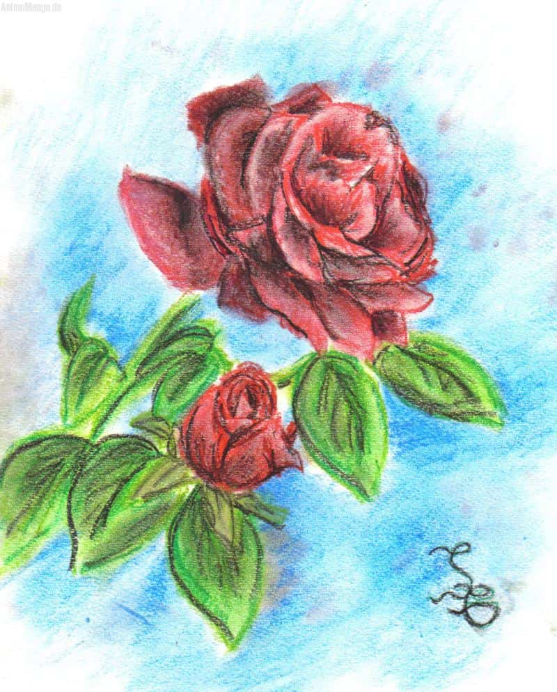 Ein paar schnelle Rosen X)