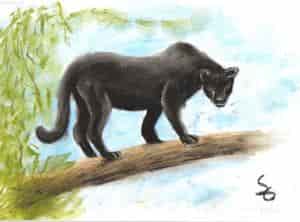 Schwarzer Panther für Yami0Bakura