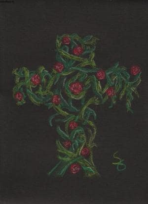 Where the wild roses grow....