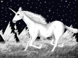 Unicorn