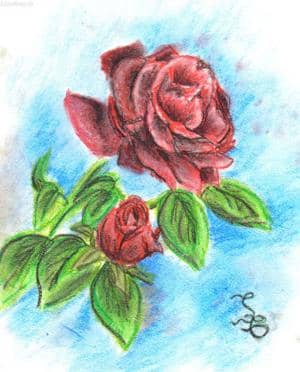 Ein paar schnelle Rosen X)