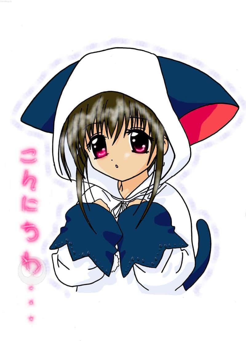 °*°*°Shia°*°*°*