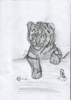 Tiggy ~ Jiha nummero 10 ^-^