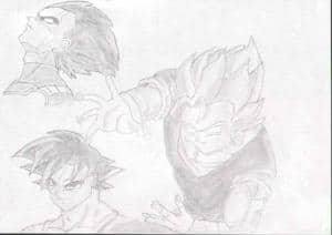 vegetto (richtigrum)