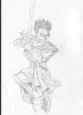 gohan