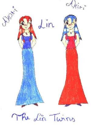 The Lin Twins
