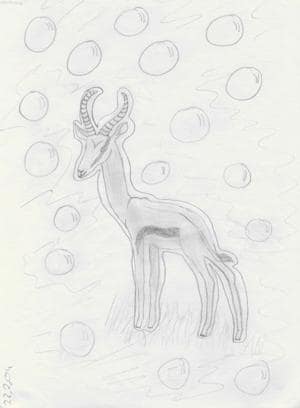 Springbock in Ruhestellung