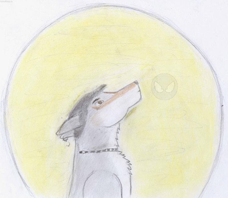 Von Marc.....ich hab´s nur hochgeladen^^