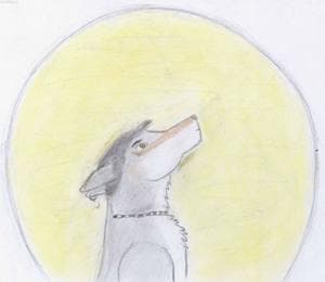 De Marc ..... Je l'ai seulement téléchargé ^^