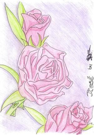 roses...