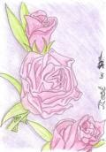 roses...