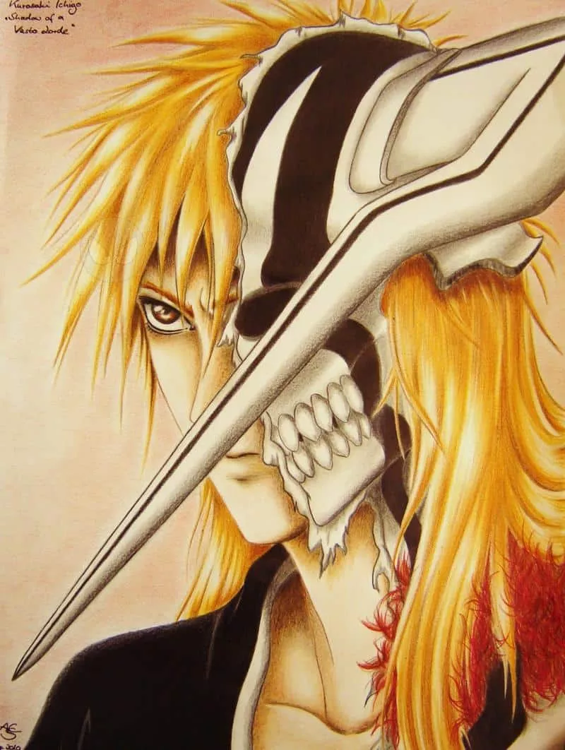 Shadow of a Vasto Lorde - Kurosaki Ichigo