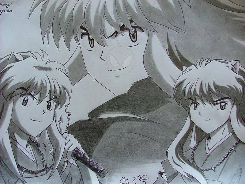 Collage: InuYasha Teil II (für Aurinia^^)