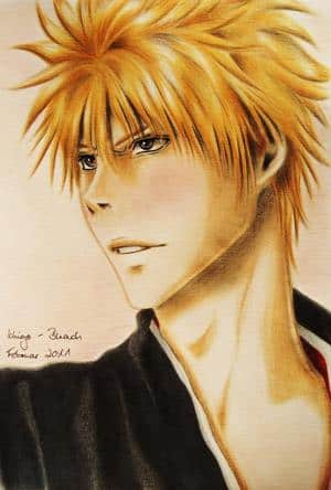Ichigo - Shinigami with heart and soul