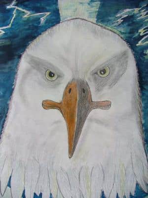 Adlerkopf - Der Greif