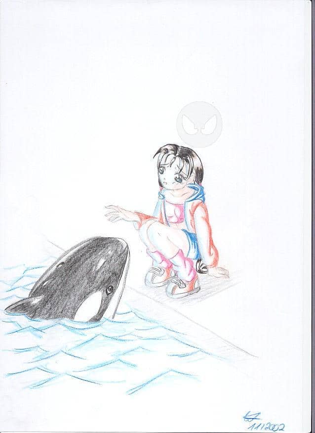 Die Frage nach dem Sinn...