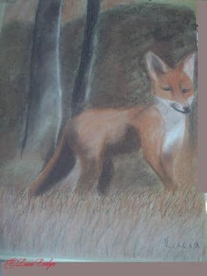 Fuchs