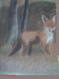 Fuchs