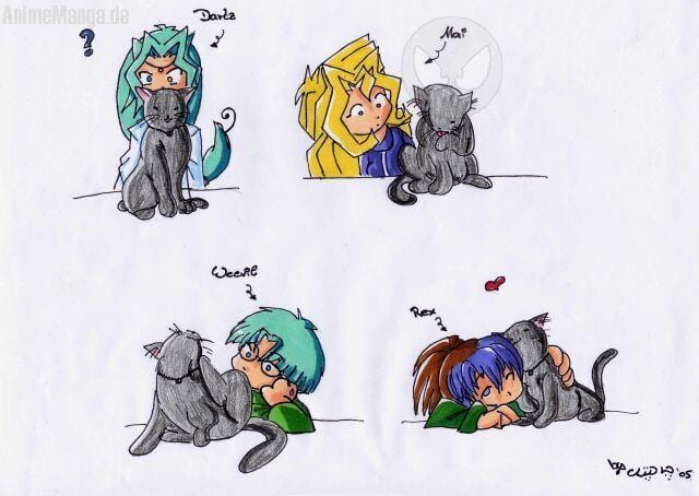 Kitty Love X3