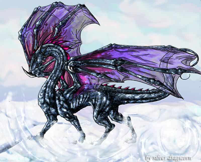 arctic dragon