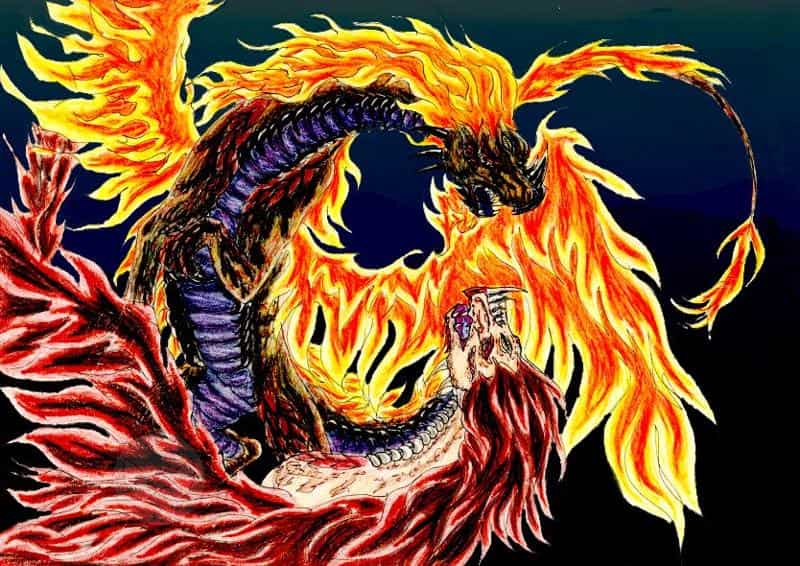 3-eyed firedragons (colo)