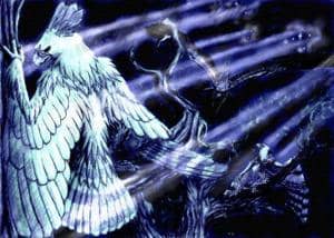 schattenharpien (colo)