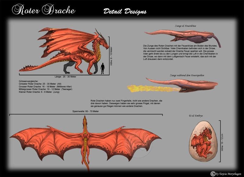 Red Dragon Details