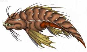 Tharax-Fisch unbeleuchtet