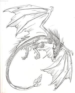 Drache Outlines