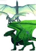 Shematic Green Dragon