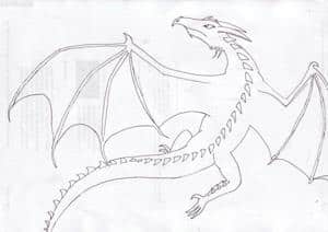 cooler Drache OLs