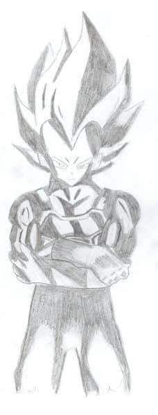 vegeta