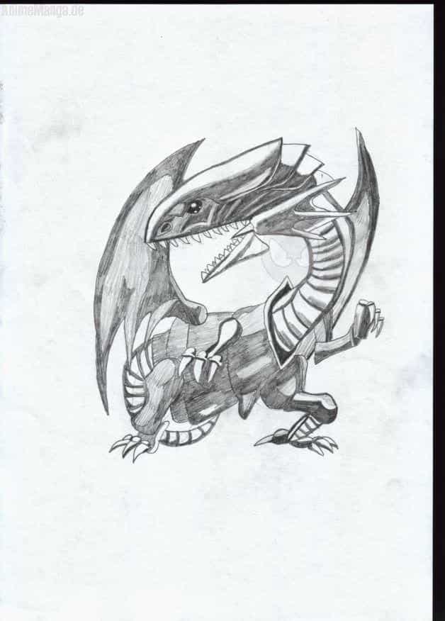 weißer Drache mit eiskaltem Blick